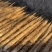 河北小白嘴山药双棒山药大量上市产地直发保质保量欢迎联系