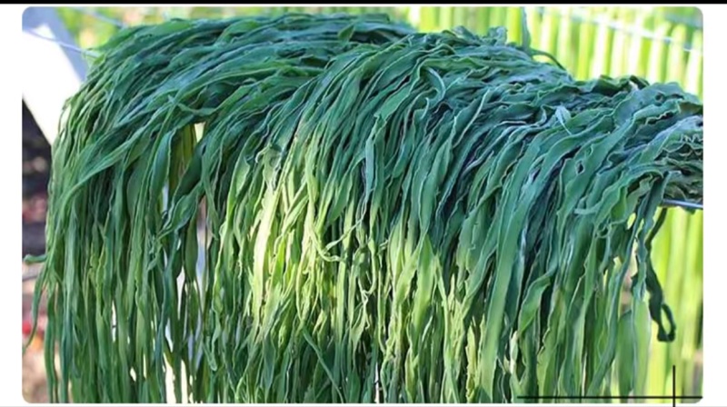 精品优质火锅贡菜产地直供爽口贡菜干货源充足欢迎选购