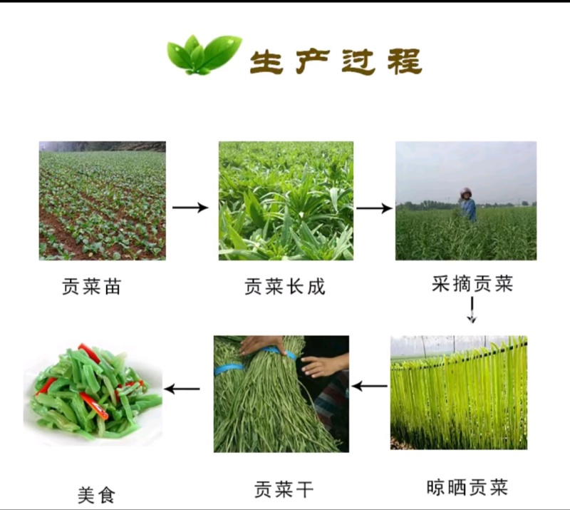 精品优质火锅贡菜产地直供爽口贡菜干货源充足欢迎选购