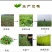精品优质火锅贡菜产地直供货源充足欢迎选购