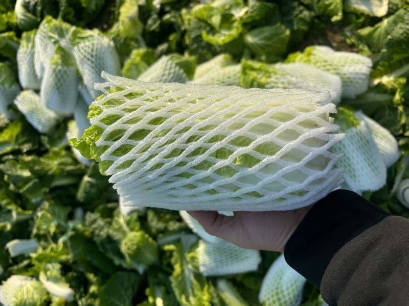 江苏大娃娃菜新鲜上市价格美丽对接全国量大从优价格美丽