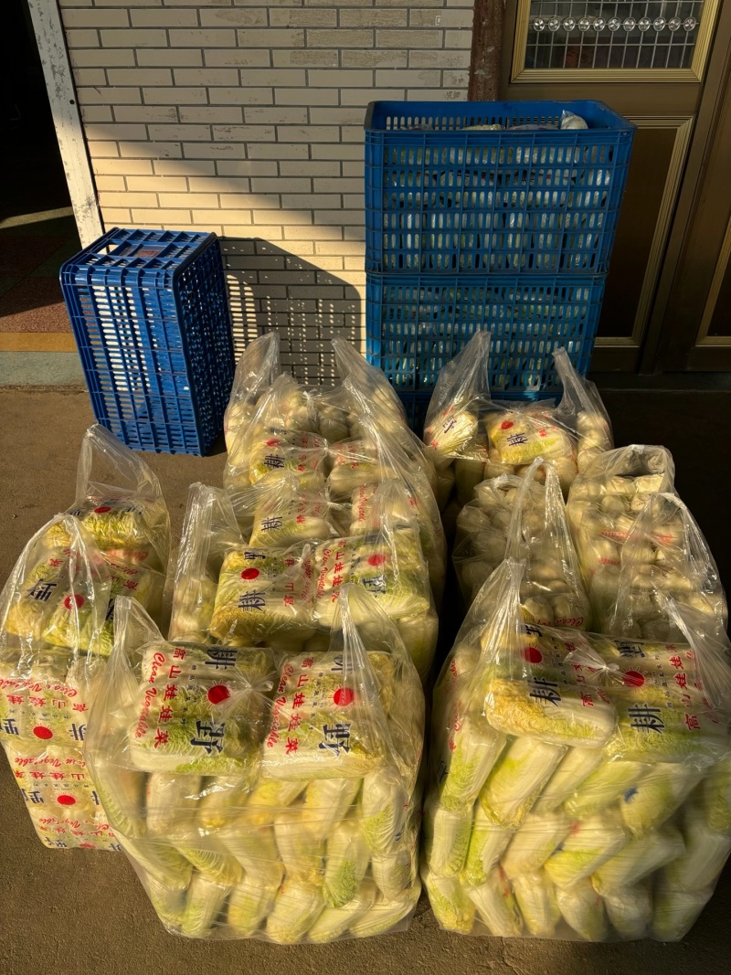 江苏大娃娃菜新鲜上市价格美丽对接全国量大从优价格美丽