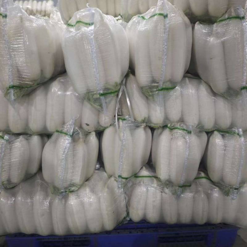 白萝卜大量有货基地直供品质优现摘现发可视频看货