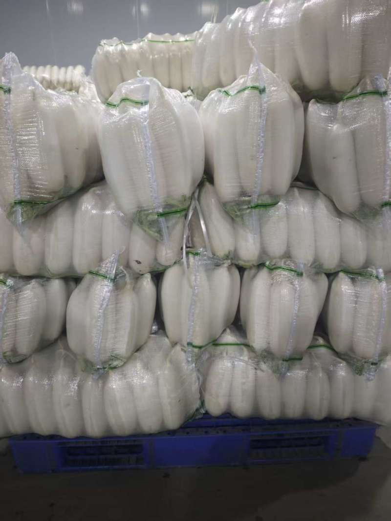 白萝卜大量有货基地直供品质优现摘现发可视频看货