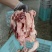 纯干棒骨筋筋头巴脑剔骨肉肉筋筋头巴脑