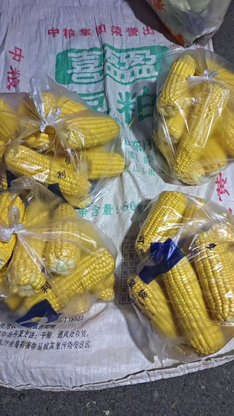 双色鲜玉米棒子3毛一斤有2吨