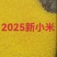 黄金苗小米大量有货产地直发一手货源价格实惠