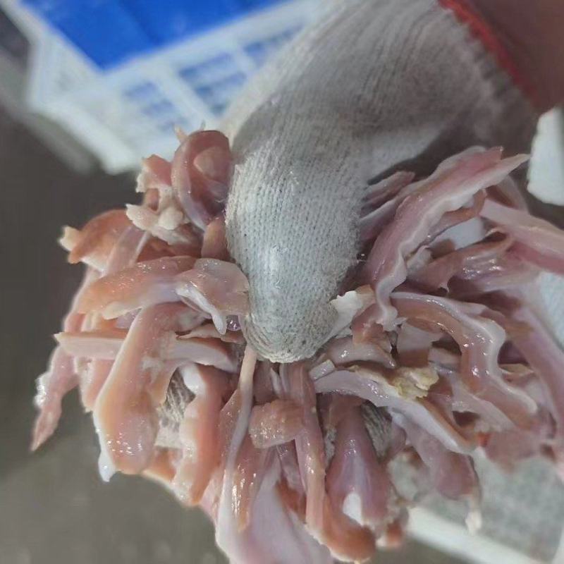 猪肚丝，餐饮电商都可供货