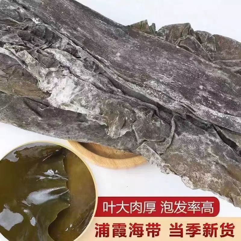 霞浦精品干海带产地一手货源全国发货量大价优欢迎随时联系