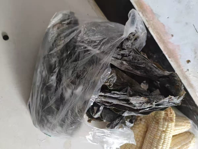 霞浦精品干海带产地一手货源全国发货量大价优欢迎随时联系