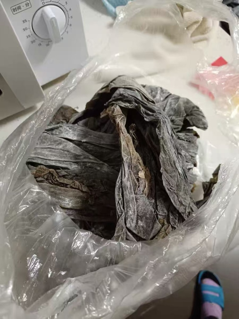 霞浦精品干海带产地一手货源全国发货量大价优欢迎随时联系