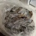 霞浦精品干海带产地一手货源全国发货量大价优欢迎随时联系