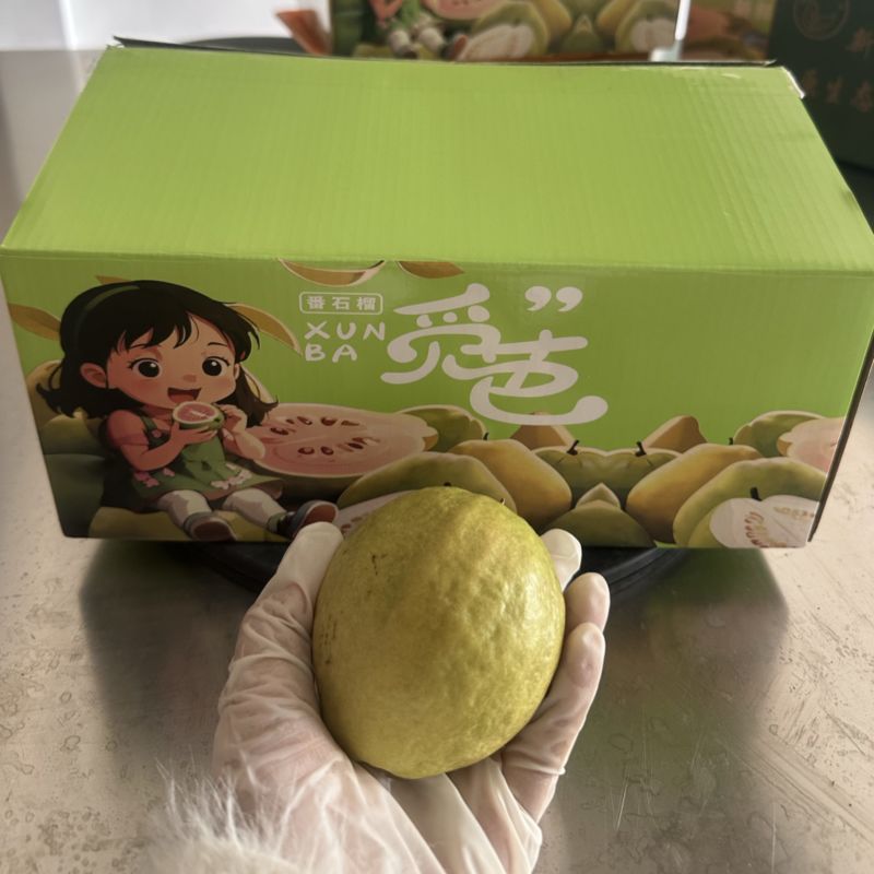 红心芭乐番石榴白心冰淇淋口感软糯香甜礼盒装新鲜水果
