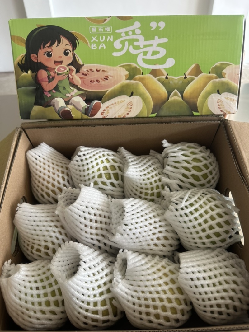 红心芭乐番石榴白心冰淇淋口感软糯香甜礼盒装新鲜水果