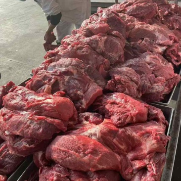 牛肉/黄牛肉/鲜肉/常年有货/诚信经营，全国发货，欢迎进