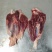 牛肉/黄牛肉/鲜肉/常年有货/诚信经营，全国发货，欢迎进