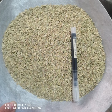 小茴香香辛料香料餐饮**规格齐全量大从优