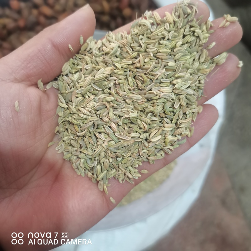 小茴香香辛料香料餐饮**规格齐全量大从优