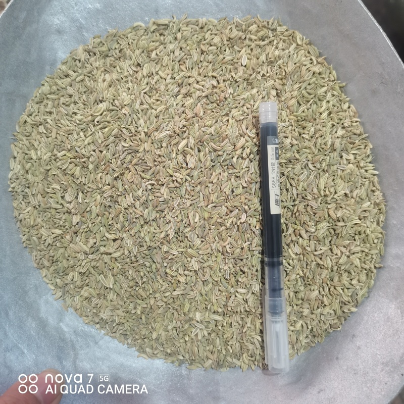 小茴香香辛料香料餐饮**规格齐全量大从优