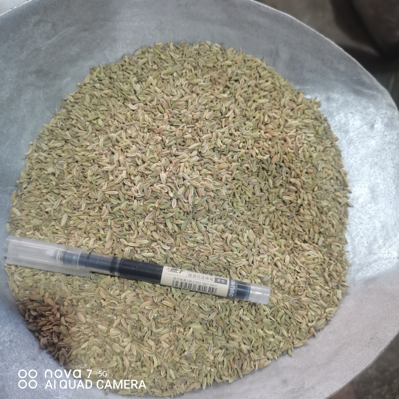 小茴香香辛料香料餐饮**规格齐全量大从优
