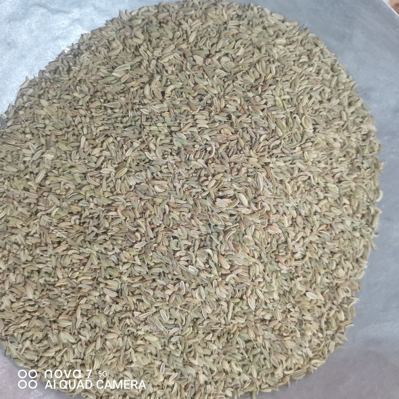 小茴香香辛料香料餐饮**规格齐全量大从优