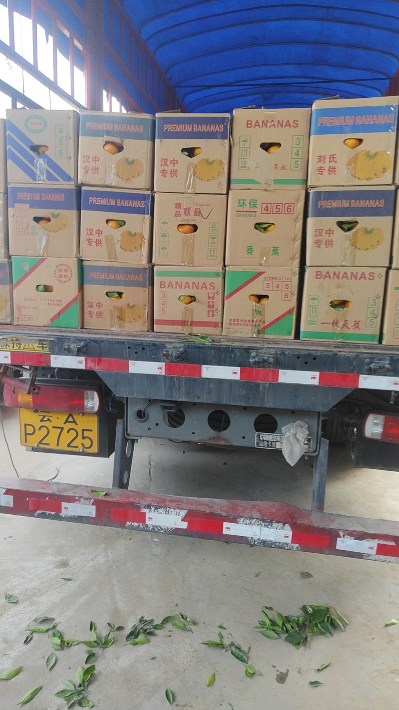 精选汉中蜜橘原产地直供质量保证一手货源对接商超市场