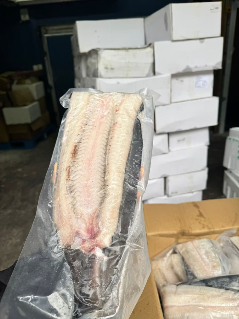生冻鳗鱼片烤肉店食材河鳗鱼片