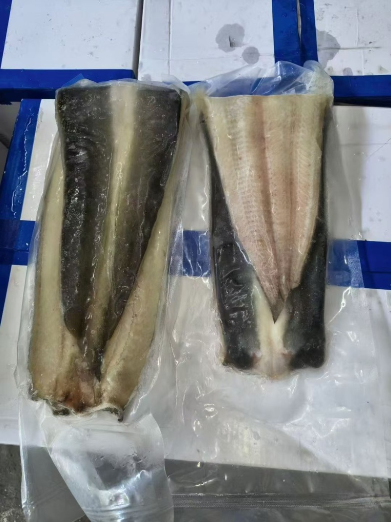 生冻鳗鱼片烤肉店食材河鳗鱼片