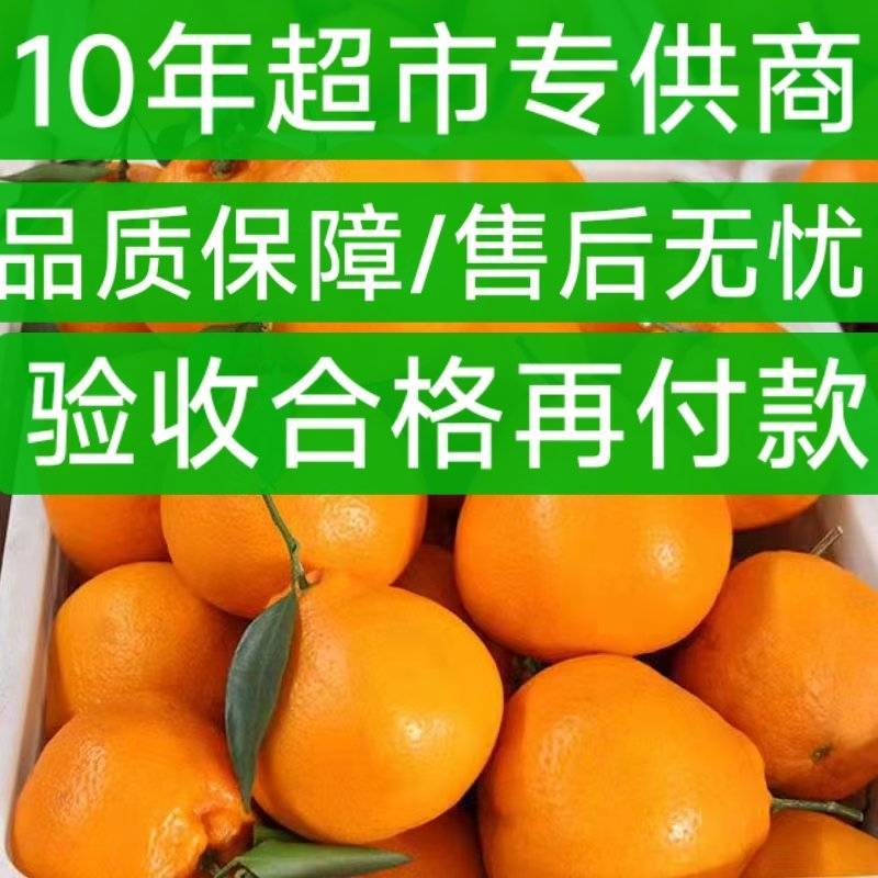 新品种晚熟耙耙柑产地直发一条龙服务量大从优海量货源对接