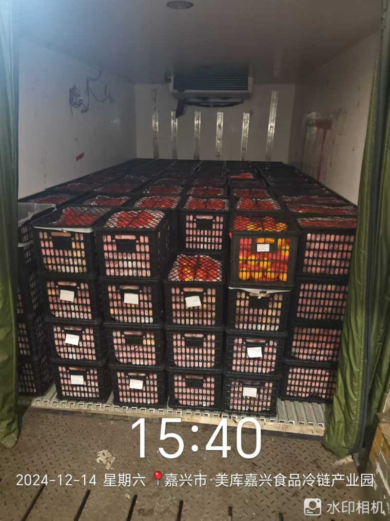 新品种晚熟耙耙柑产地直发一条龙服务量大从优海量货源对接