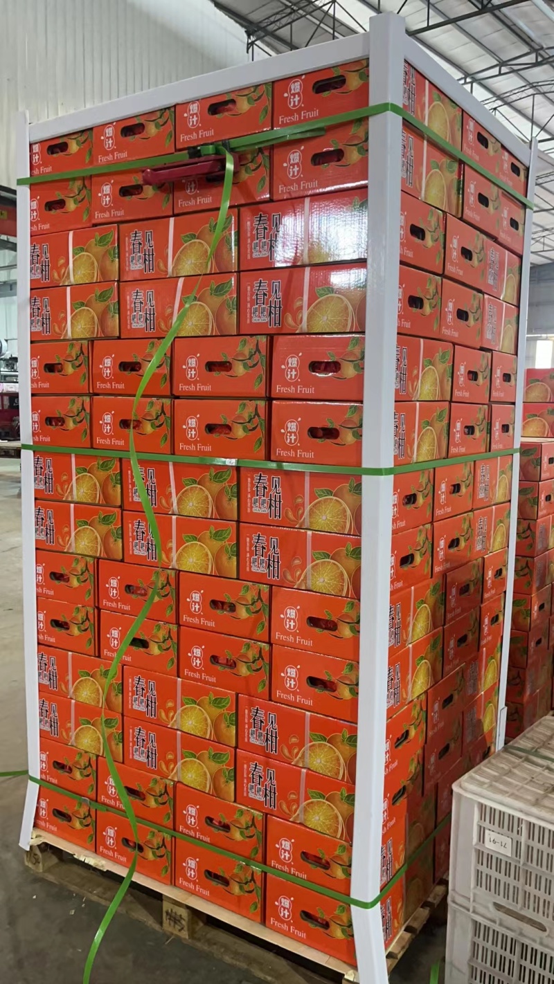 新品种晚熟耙耙柑产地直发一条龙服务量大从优海量货源对接