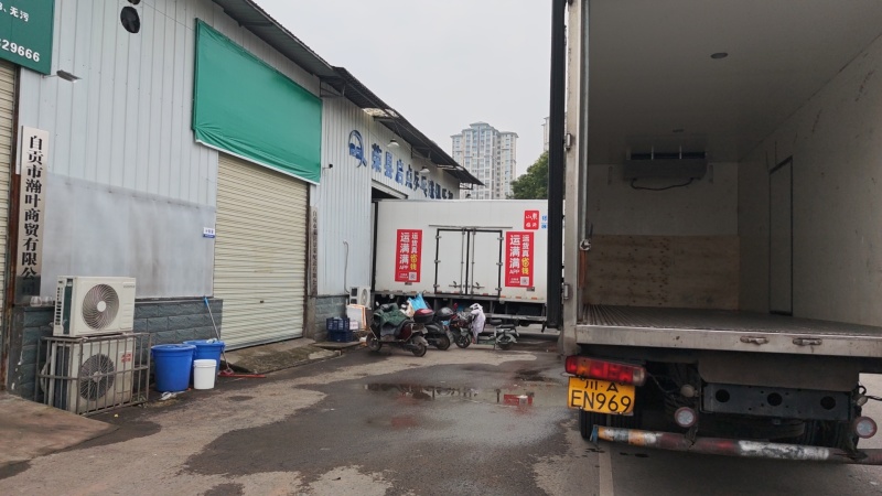 新品种晚熟耙耙柑产地直发一条龙服务量大从优海量货源对接