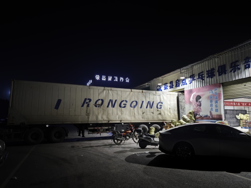 新品种晚熟耙耙柑产地直发一条龙服务量大从优海量货源对接
