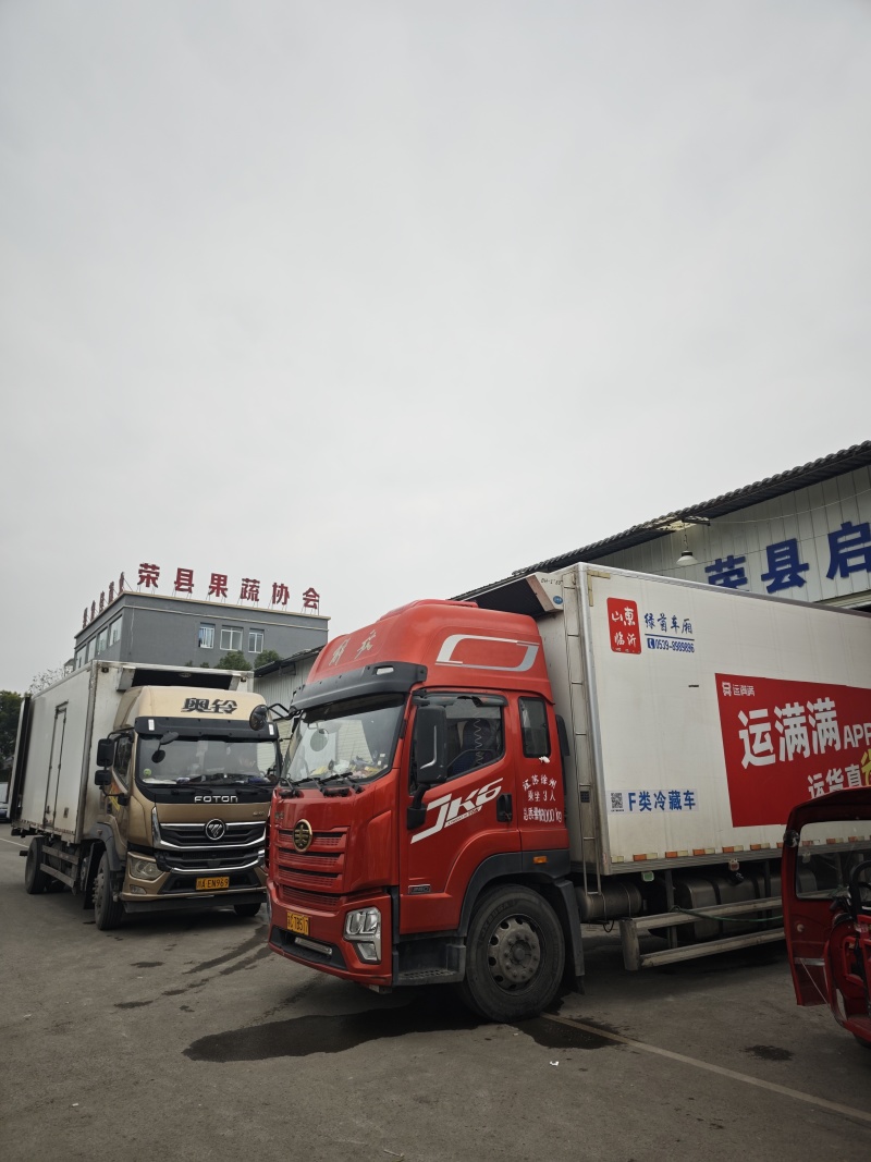 新品种晚熟耙耙柑产地直发一条龙服务量大从优海量货源对接