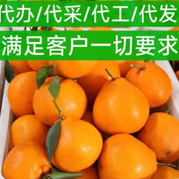 新品种晚熟耙耙柑【带青头】树上耙耙柑【基地代办】基地直采