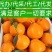 新品种晚熟耙耙柑【带青头】树上耙耙柑【基地代办】基地直采