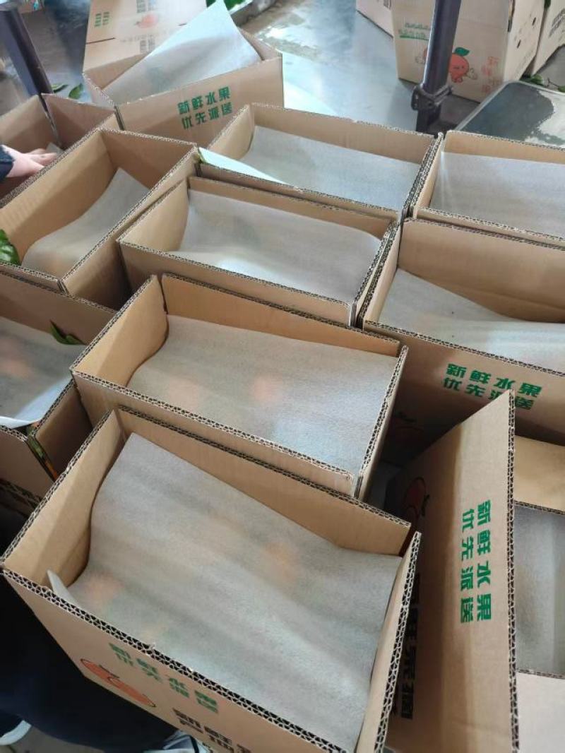 云南丽江沃柑，硬度高、纯甜，大量现货，一件代发