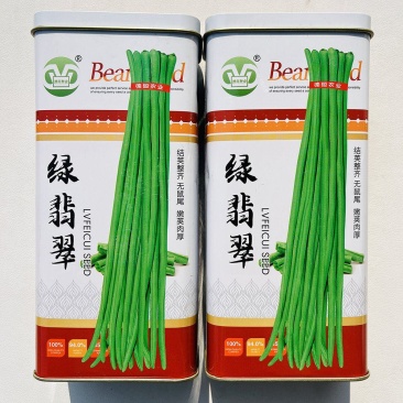 绿翡翠豇豆种子早中熟抗病高产豆角种子荚条翠绿顺直荚长