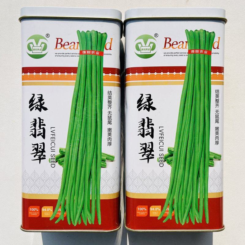 绿翡翠豇豆种子早中熟抗病高产豆角种子荚条翠绿顺直荚长