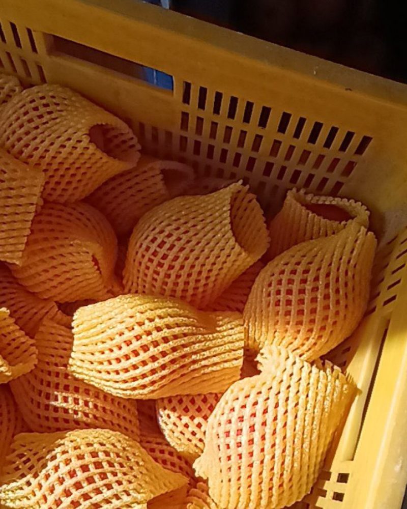 红富士苹果