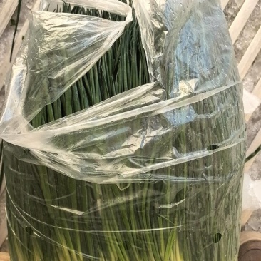 精品香葱