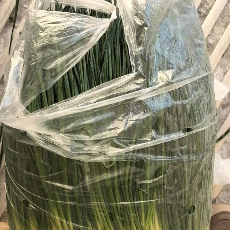 精品香葱