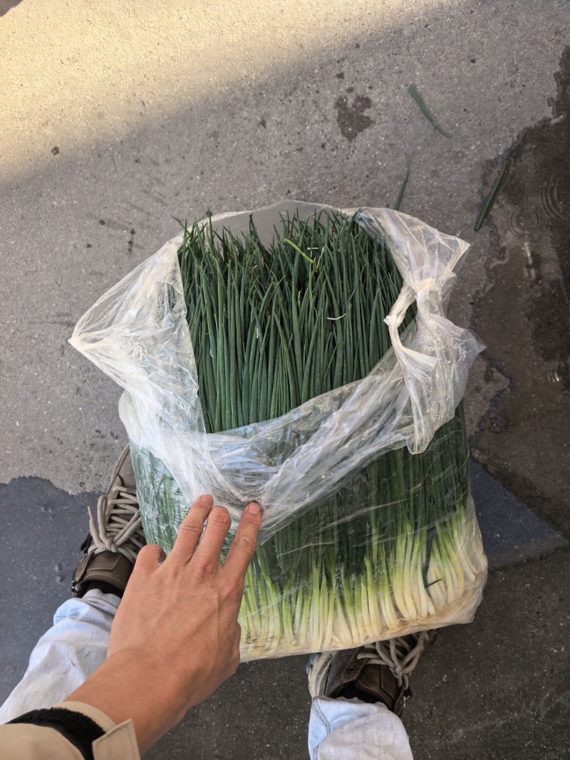 精品香葱