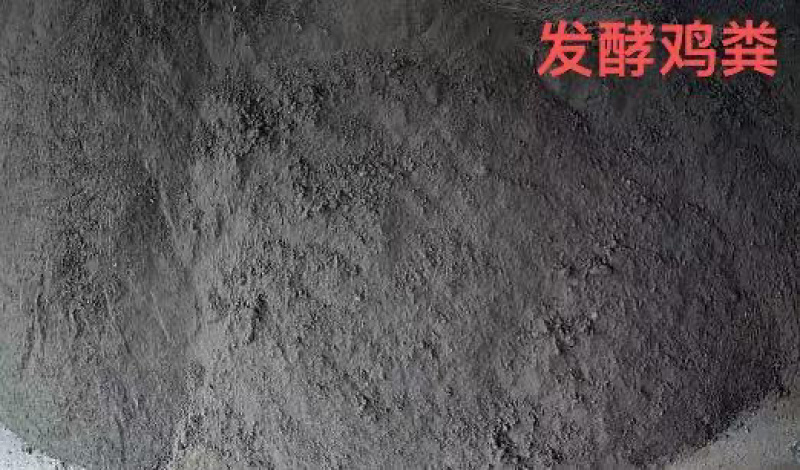 发酵鸡粪