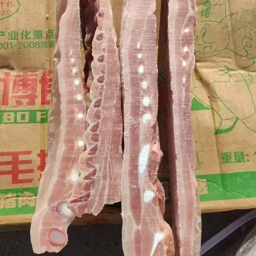 肥猪寸排