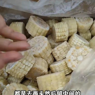 白糯玉米段