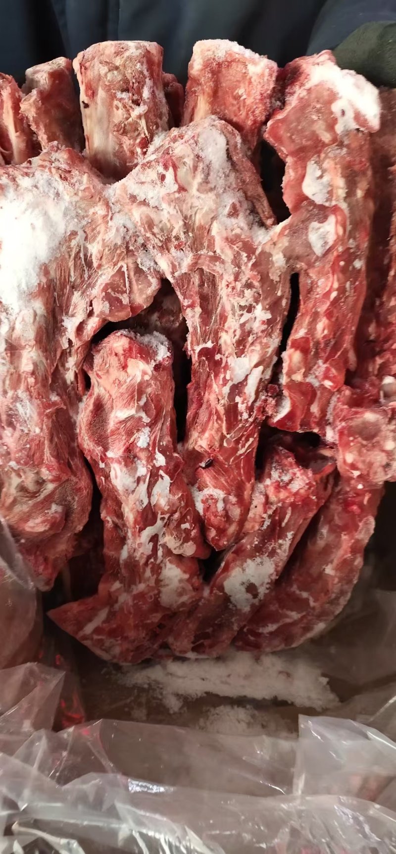 多肉羊蝎子一手货源工厂，一件也可以发货，全国发货
