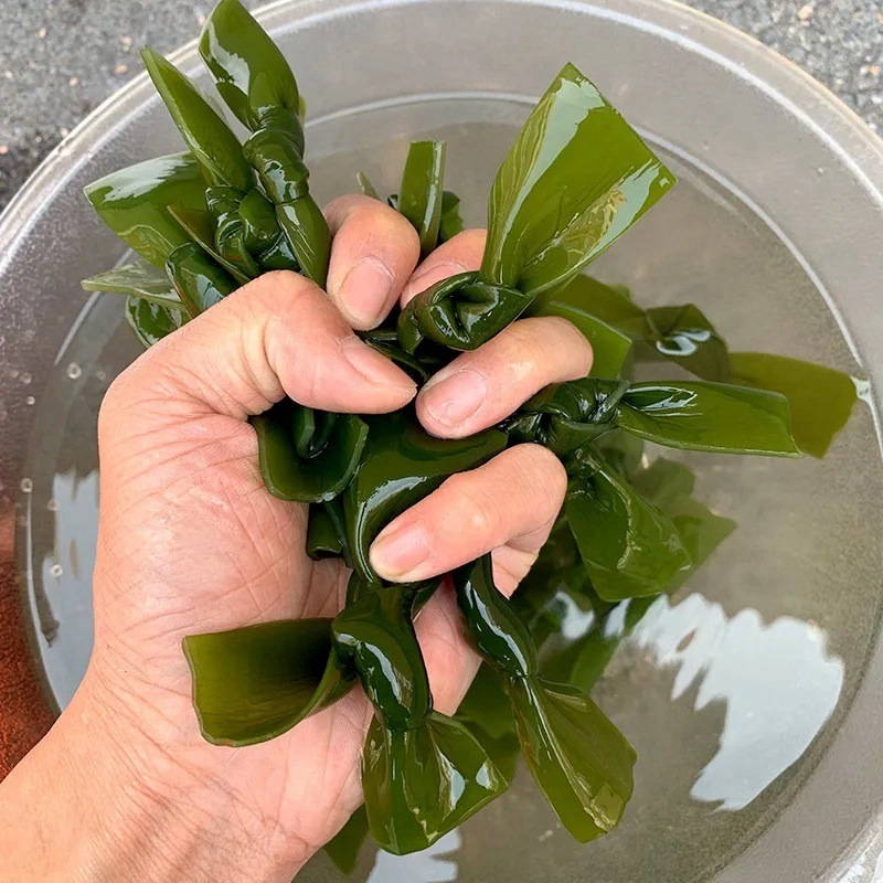 烘干海带结海带扣15倍泡发海带干货片上等货赶集摆跑江湖海