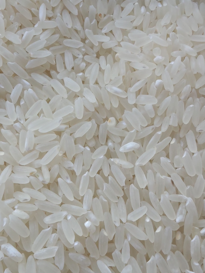 黑龙育2号长粒香大米