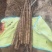 【精选】温县铁棍山药大量供应一手货源可对接商超批发市场